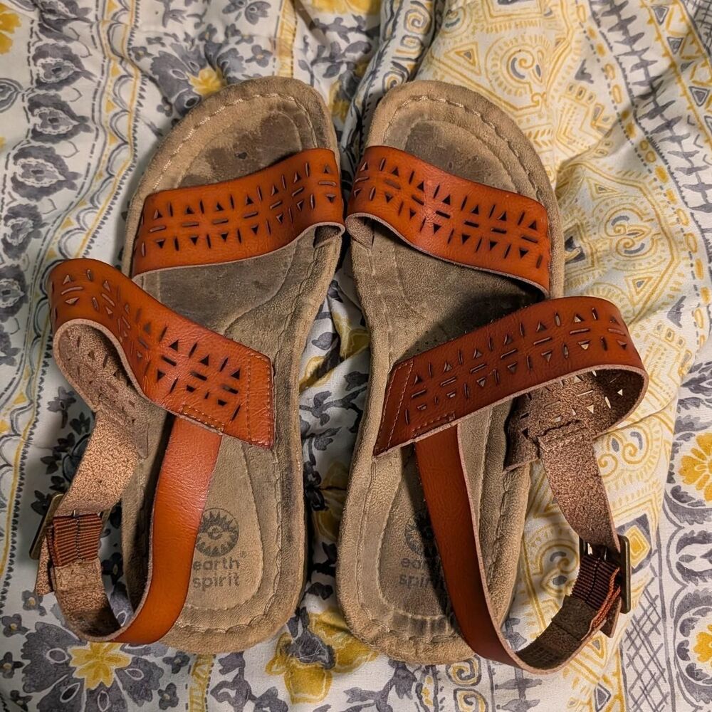 Earth Women's Brown and Tan Sandals